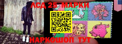 МДПВ Волгодонск