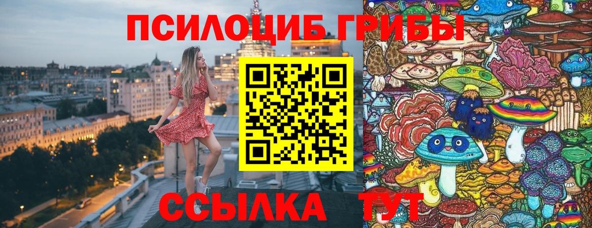 Зеленодольск  Псилоцибиновые грибы MAGIC MUSHROOMS  Вход с VPN 