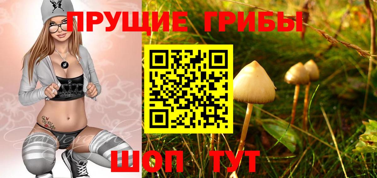 Псилоцибиновые грибы Magic Shrooms Зеленодольск